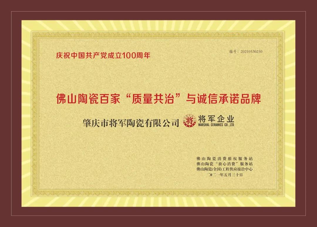 重磅 | 將軍企業(yè)實(shí)力捧回4大重量級(jí)獎(jiǎng)項(xiàng)，獻(xiàn)禮建黨百年(圖4)